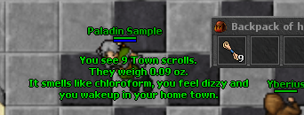 Town Scroll